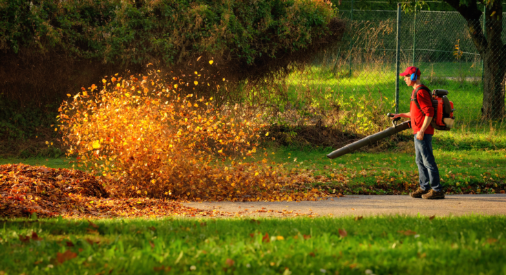Leaf Blower Black Friday Deals 2022