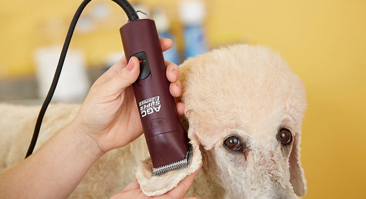 Dog Clippers Black Friday Deals 2022